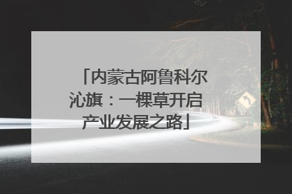内蒙古阿鲁科尔沁旗：一棵草开启产业发展之路